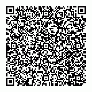 vCard 74951401763