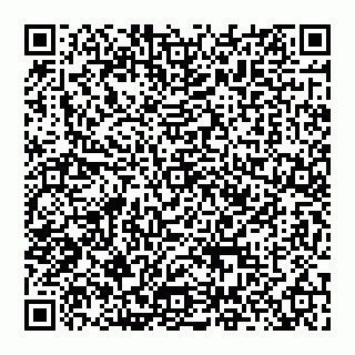 vCard 74951401772