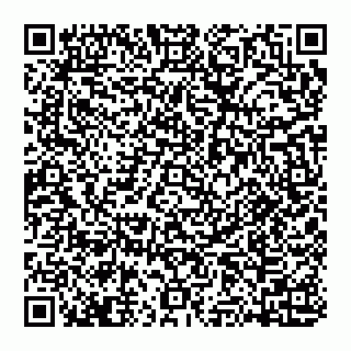 vCard 74951401778