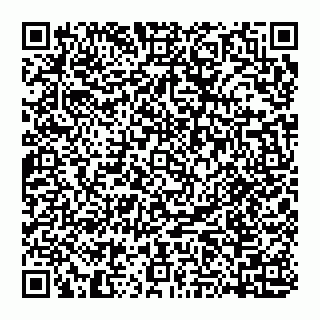 vCard 74951401781
