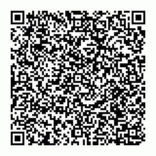 vCard 74951401785
