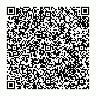 vCard 74951401811