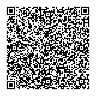 vCard 74951402208