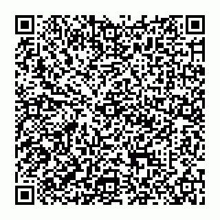 vCard 74951402313