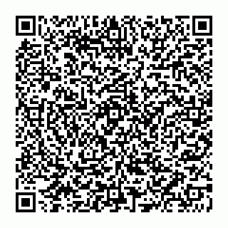 vCard 74951402317