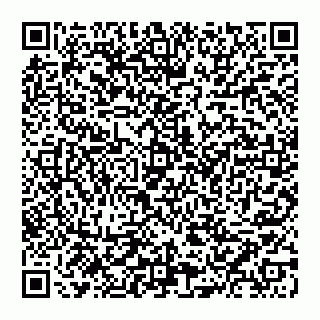 vCard 74951409651