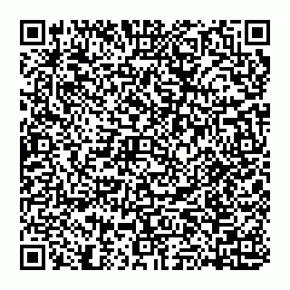 vCard 74951409731