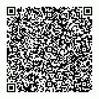 vCard 74951409733