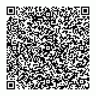 vCard 74951409921