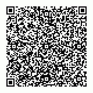 vCard 74951420035