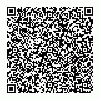 vCard 74951420133