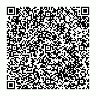 vCard 74951420179