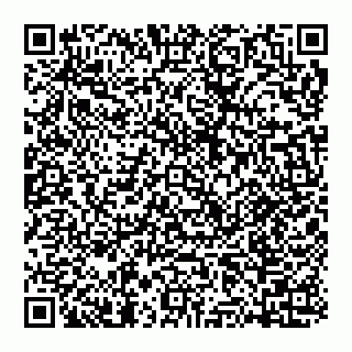 vCard 74951420281