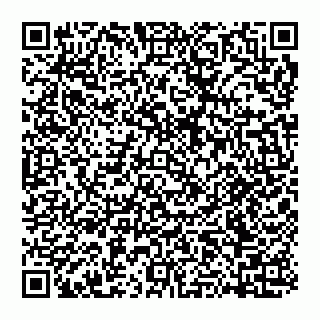 vCard 74951420287