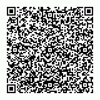 vCard 74951420290