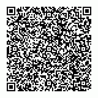vCard 74951420295