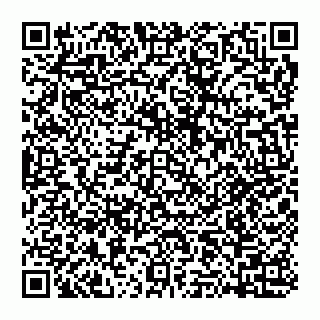 vCard 74951420303