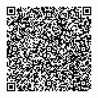 vCard 74951420311