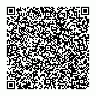 vCard 74951420335