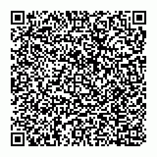 vCard 74951420339