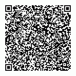 vCard 74951420353