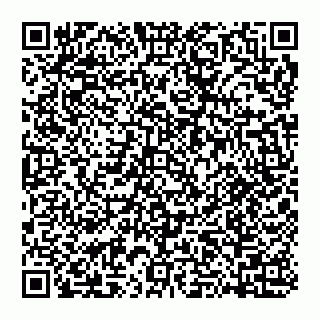vCard 74951420380