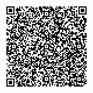 vCard 74951420382