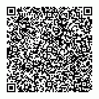 vCard 74951420383