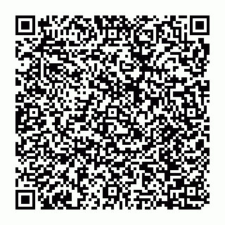 vCard 74951420384