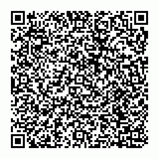 vCard 74951420385