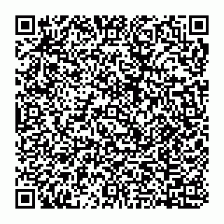 vCard 74951420388