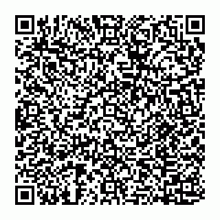 vCard 74951441619