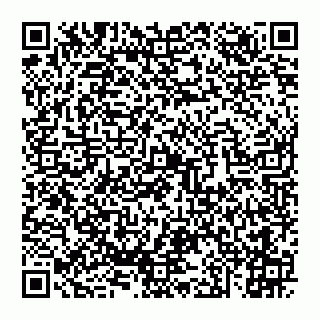 vCard 74951441629