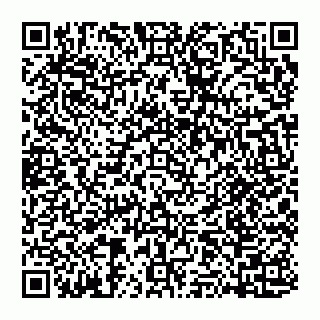 vCard 74951441631