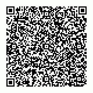 vCard 74951441778