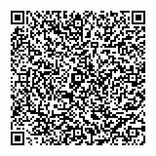 vCard 74951443531