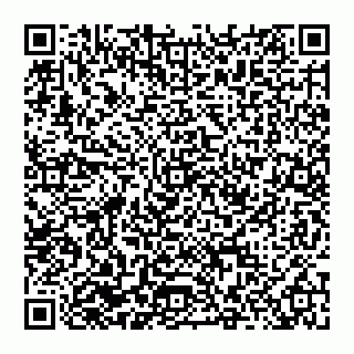 vCard 74951447009