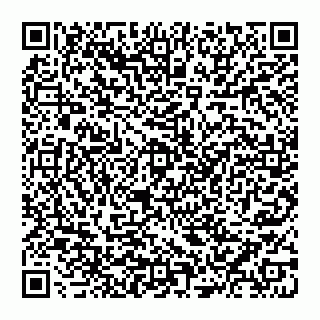 vCard 74951447065