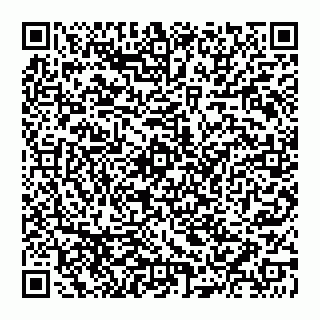 vCard 74951449387