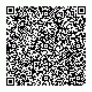 vCard 74951470331