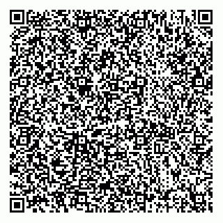 vCard 74951502563