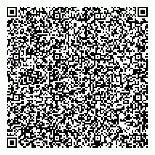 vCard 74951510208