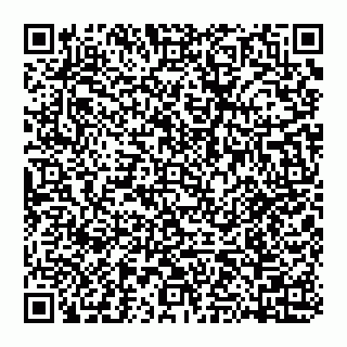 vCard 74951517313