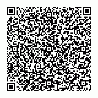 vCard 74951517329