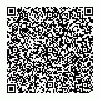 vCard 74951517335