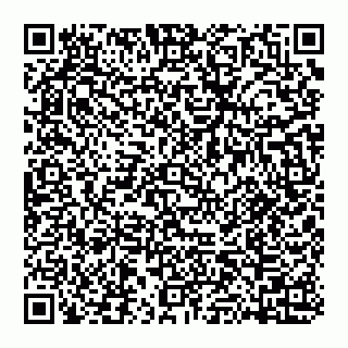 vCard 74951517378