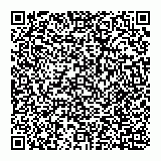vCard 74951517381