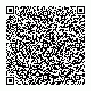 vCard 74951553303