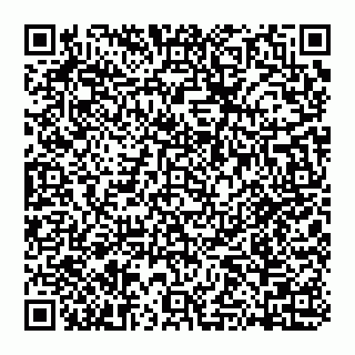 vCard 74951553313