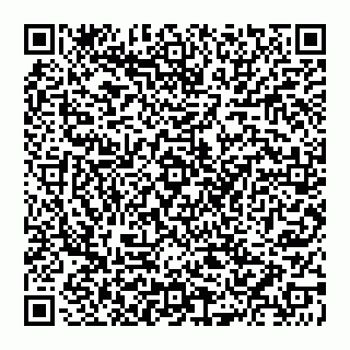 vCard 74951553317